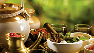 Ayurveda Ayurveda