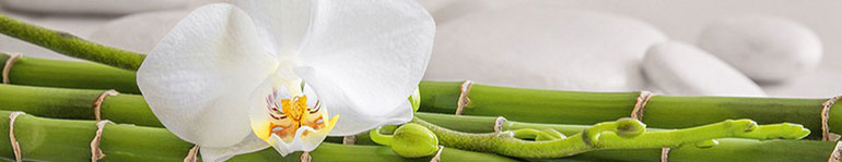 Manuelle Lymphdrainage